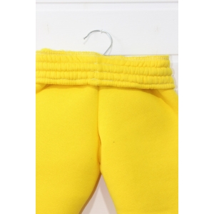 Спортивные штаны детские зима-осень с начесом (футер) унисекс 320гр желтые