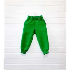 Спортивные штаны детские зима-осень с начесом (футер) унисекс 320гр зеленые