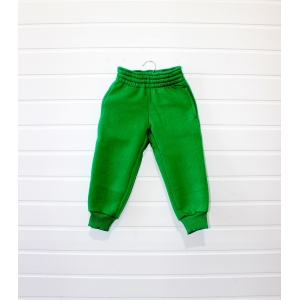 Спортивные штаны детские зима-осень с начесом (футер) унисекс 320гр зеленые