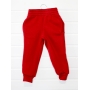 Спортивные штаны детские зима-осень с начесом (футер) унисекс 320гр красные